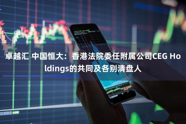 卓越汇 中国恒大：香港法院委任附属公司CEG Holdings的共同及各别清盘人