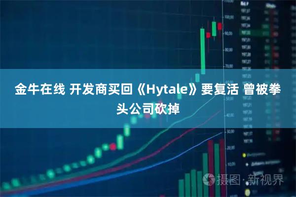 金牛在线 开发商买回《Hytale》要复活 曾被拳头公司砍掉