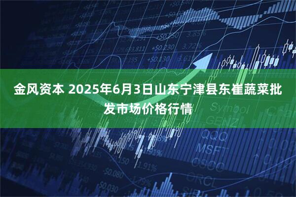 金风资本 2025年6月3日山东宁津县东崔蔬菜批发市场价格行情